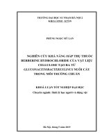 Nghiên cứu khả năng hấp thụ thuốc berberine hydrochloride của vật liệu cellulose tạo ra từ gluconacetobacter xylinus nuôi cấy trong môi trường chuẩn 