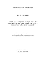 Tính giải được toàn cục đối với phương trình tích phân volterra phi tuyến với nhân suy biến 