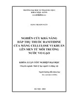 Nghiên cứu khả năng hấp thụ thuốc ranitidine của màng cellulose vi khuẩn lên men từ môi trường nước vo gạo 