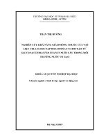 Nghiên cứu khả năng giải phóng thuốc của vật liệu cellulose nạp diclofenac natri tạo từ glconacetobacter xylinus nuôi cấy trong môi trường nước vo gạo 
