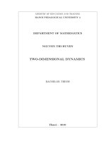 Two dimensional dynamics 