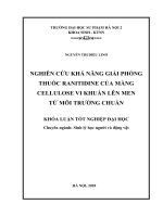 Nghiên cứu khả năng giải phóng thuốc ranitidine của màng cellulose vi khuẩn lên men từ môi trường chuẩn 