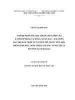 THÀNH PHẦN sâu hại THUỘC bộ CÁNH vảy (LEPIDOPTERA) vụ ĐÔNG XUÂN 2015 – 2016 TRÊN RAU họ HOA THẬP tự tại yên mỹ, HƯNG yên; đặc điểm SINH học, SINH THÁI LOÀI sâu tơ PLUTELLA XYLOSTELLA (linnaeus) 