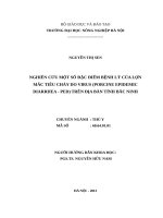 NGHIÊN cứu một số đặc điểm BỆNH lý của lợn mắc TIÊU CHẢY DO VIRUS (PORCINE EPIDEMIC DIARRHEA   PED) TRÊN địa bàn TỈNH bắc NINH 