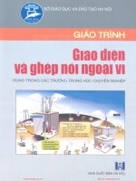thcn giao trinh giao dien ghep noi ngoai vi   ts pho duc toan, 132 trang   cuuduongthancong com