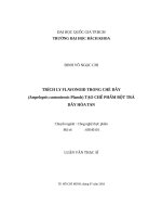 Trích ly flavonoid trong chè dây (Ampelepsis cantoniensis Planch) tạo chế phẩm bột trà dây hòa tan