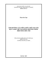 ẢNH HƯỞNG CỦA TIỀN CHẤT CHẾ TẠO LÊN HẠT CoNiP CHẾ TẠO BẰNG PHƯƠNG PHÁP ĐIỆN HÓA SIÊU ÂM