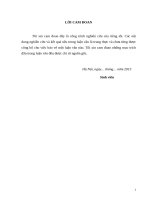 Thực trạng và hoàn thiện hệ thống kênh phân phối nhằm đẩy mạnh tiêu thụ sản phẩm tại công ty trách nhiệm hữu hạn minh hiếu 