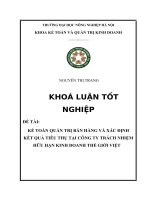 KẾ TOÁN QUẢN TRỊ bán HÀNG và xác ĐỊNH kết QUẢ TIÊU THỤ tại CÔNG TY TRÁCH NHIỆM hữu hạn KINH DOANH THẾ GIỚI VIỆT 