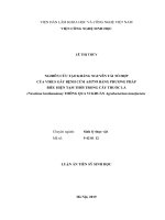 Nghiên cứu tạo kháng nguyên tái tổ hợp của virus gây bệnh cúm a h7n9 bằng phương pháp biểu hiện tạm thời trong cây thuốc lá (nicotiana benthamiana) thông qua vi khuẩn agrobacterium tumefaciens tt 