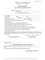 Mẫu BẢN CAM KẾT Của Sinh viên thực tập thực tế tại đơn vị