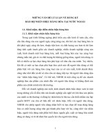 Những vấn đề lý luận về đăng ký bảo hộ nhãn hiệu hàng hóa tại nước ngoài