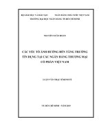 Các yếu tố ảnh hưởng đến tăng trưởng tín dụng tại các ngân hàng thương mại cổ phần việt nam (luận văn thạc sĩ) 