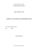Nghiên cứu quy trình tạo chế phẩm bột tỏi đen