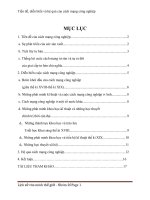 Tiểu luận môn Lịch sử văn minh thế giới: Tiền đề, diễn biến và hệ quả của cách mạng công nghiệp