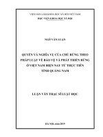 Quyền và nghĩa vụ của chủ rừng theo pháp luật về bảo vệ và phát triển rừng ở Việt Nam hiện nay từ thực tiễn tỉnh Quảng Nam (Luận văn thạc sĩ)