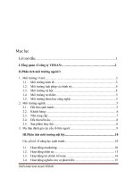 Tiểu luận: Chiến lược kinh doanh của công ty TNHH một thành viên Việt Nam Kỹ Nghệ Súc Sản VISSAN