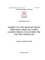 Nghiên cứu ứng dụng kỹ thuật kiểm soát chọn lọc cuống glisson trong cắt gan điều trị ung thư tế bào gan