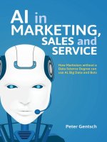 AIl   in   marketing  sales and   service  