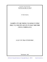 Nghiên cứu hệ thống tái sinh in vitro phục vụ chuyển gen ở cây đậu nho nhe (vigna umbellata) 