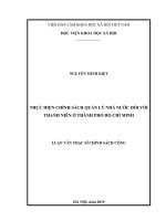 Thực hiện chính sách Quản lý Nhà nước đối với thanh niên ở Thành phố Hồ Chí Minh (Luận văn thạc sĩ)