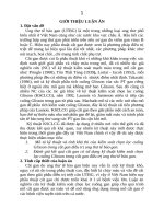 Nghiên cứu ứng dụng kỹ thuật kiểm soát chọn lọc cuống Glisson trong cắt gan điều trị ung thư tế bào gan (TT)