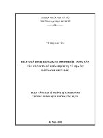 Hiệu quả hoạt động kinh doanh bất động sản của công ty cổ phần dịch vụ và địa ốc đất xanh miền bắc 