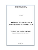 Chiến lược tiêu thụ sản phẩm của tổng công ty giấy việt nam 