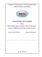 Một số giải pháp nâng cao hiệu quả sử dụng vốn kinh doanh tại Công ty TNHH thủ công mỹ nghệ và nội thất Ngọc Sơn