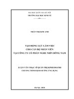 Tạo động lực làm việc cho cán bộ nhân viên tại công ty cổ phần nghe nhìn đông nam 