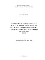 Nghiên cứu đặc điểm hình thái, giải phẫu và sự sinh trưởng của loài sến mật (madhuca pasquieri (dubard) h  j  lam) trồng tại trạm đa dạng sinh học mê linh – vĩnh phúc (LVThS k20) 