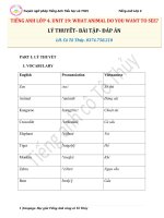 LOP 4  UNIT 19  LY THUYET  BAI TAP  DAP AN  