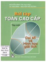 Bài tập toán cao cấp   tập 1, đại số và hình học giải tích 