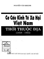 Cơ cấu kinh tế xã hội việt nam thời thuộc địa   1858 1945 