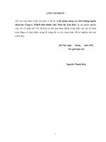 Giải pháp nâng cao chất lượng nguồn nhân lực công ty trách nhiệm hữu hạn một thành viên thủy lợi tam đảo 