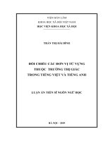 Đối chiếu các đơn vị từ vựng thuộc trường thị giác trong tiếng Việt và tiếng Anh