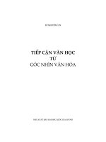Tiếp cận văn học từ góc nhìn văn hóa 