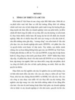 Tóm tắt luận văn Thạc sĩ: Ảnh hưởng của sở hữu nhà nước đến cấu trúc vốn của các công ty niêm yết tại Việt Nam