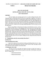 BÁO CÁO CHUYÊN ĐỀ KHỐI 5