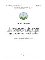 Phân tích thực trạng tiêu thụ kháng sinh và việc sử dụng kháng sinh trong điều trị viêm phổi bệnh viện tại bệnh viện đa khoa tỉnh điện biên 