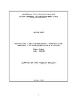 Cấu trúc quần xã ve giáp (acari oribatida) và vai trò của chúng ở vùng đồng bằng sông hồng, phía bắc việt nam tt tiếng anh 