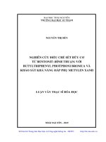 Nghiên cứu điều chế sét hữu cơ tử Bentonit (Bình Thuận) với Butyltripphenyl Photphoni Bromua và khảo sát khả năng hấp phụ Metylen xanh (Luận văn thạc sĩ)