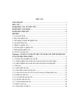 “Nhu cầu sinh con thứ ba trở lên của cán bộ công chức”.