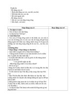 quan sát con voi ,con hổ, con thỏ