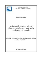 Tóm tắt Luận văn Thạc sĩ Quản trị kinh doanh: Quản trị kênh phân phối tại Công ty cổ phần Xuất nhập khẩu phân bón Tây Nguyên