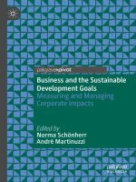 Business and the sustainable development goals measuring and managing corporate impacts 