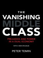 The vanishing middle class prejudice and power in a dual economy (the MIT press) 