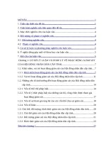 Luận văn thạc sĩ hoạt động giám sát của hội đồng nhân tỉnh từ thực tiễn tỉnh gia lai 