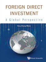 Foreign direct investment a global perspective 