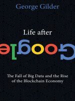 Life after google the fall of big data and the rise of the blockchain economy 